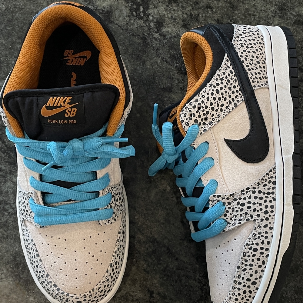 Nike Dunk Low Pro SB 'Electric Pack' Men's US Size 7